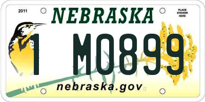 NE license plate 1M0899
