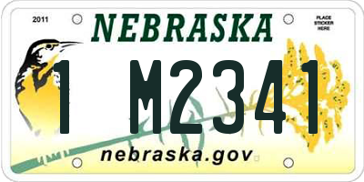NE license plate 1M2341