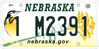 NE license plate 1M2391