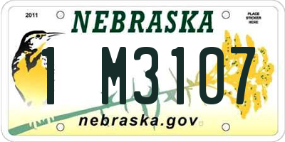 NE license plate 1M3107