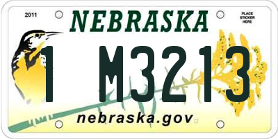 NE license plate 1M3213