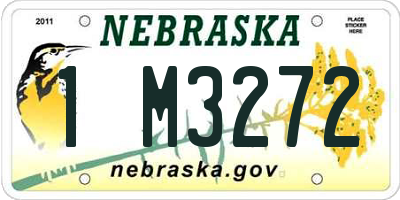 NE license plate 1M3272