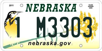 NE license plate 1M3303