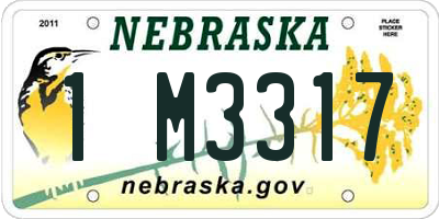 NE license plate 1M3317