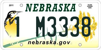 NE license plate 1M3338