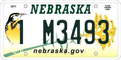 NE license plate 1M3493