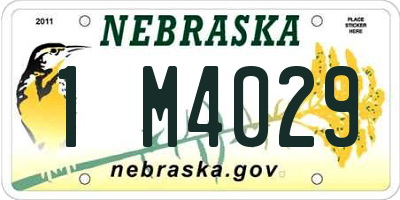 NE license plate 1M4029