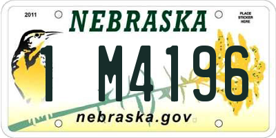 NE license plate 1M4196