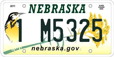 NE license plate 1M5325
