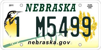 NE license plate 1M5499