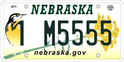 NE license plate 1M5555