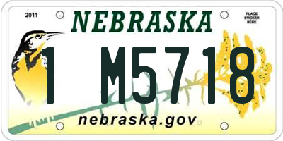 NE license plate 1M5718