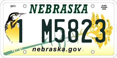 NE license plate 1M5823