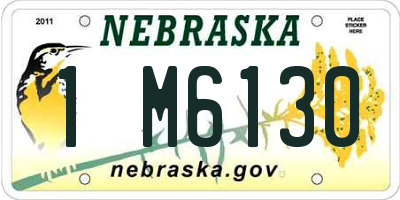 NE license plate 1M6130