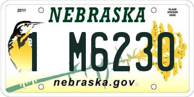 NE license plate 1M6230