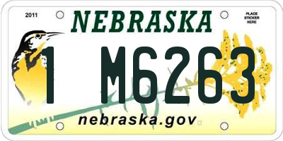 NE license plate 1M6263