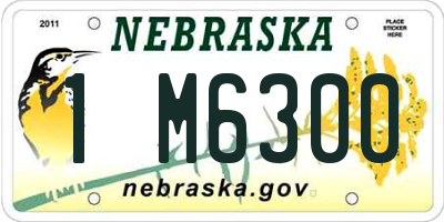 NE license plate 1M6300