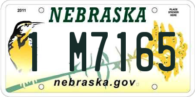 NE license plate 1M7165