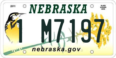 NE license plate 1M7197