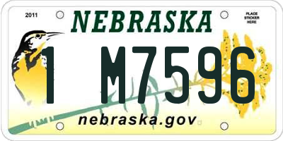 NE license plate 1M7596