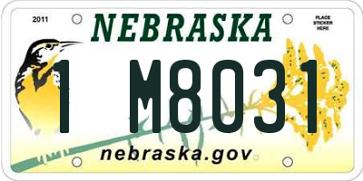 NE license plate 1M8031