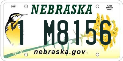 NE license plate 1M8156