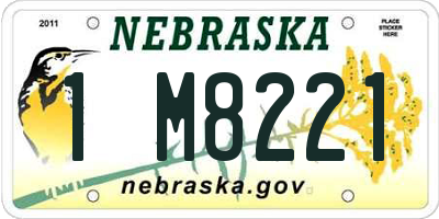 NE license plate 1M8221