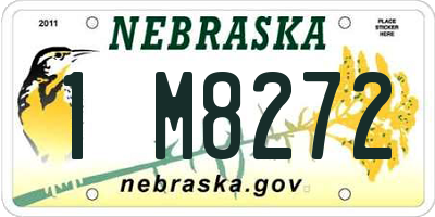 NE license plate 1M8272