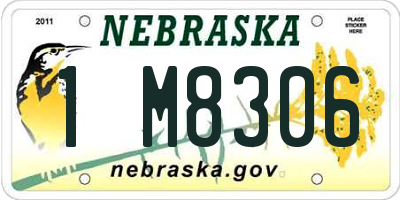 NE license plate 1M8306