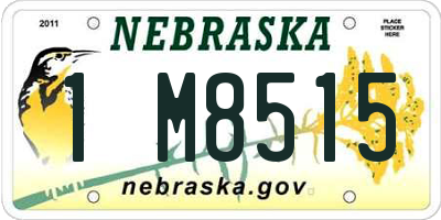 NE license plate 1M8515