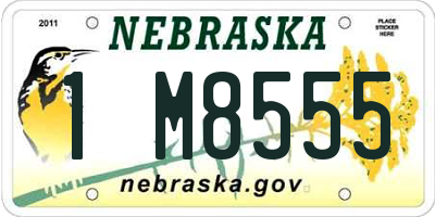 NE license plate 1M8555