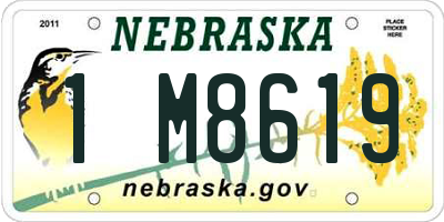 NE license plate 1M8619