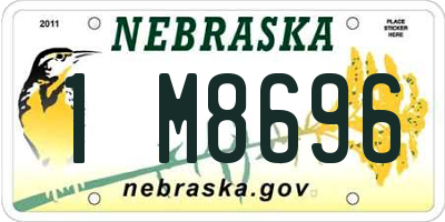 NE license plate 1M8696