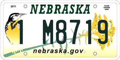 NE license plate 1M8719