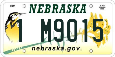 NE license plate 1M9015