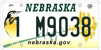 NE license plate 1M9038