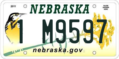 NE license plate 1M9597