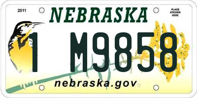 NE license plate 1M9858
