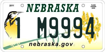 NE license plate 1M9994
