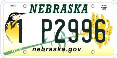 NE license plate 1P2996