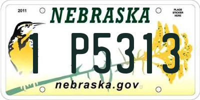 NE license plate 1P5313