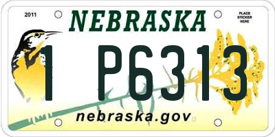 NE license plate 1P6313