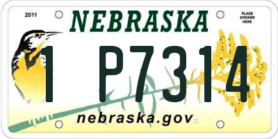 NE license plate 1P7314
