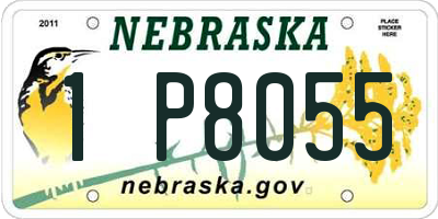 NE license plate 1P8055