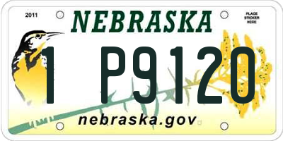 NE license plate 1P9120