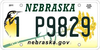NE license plate 1P9829