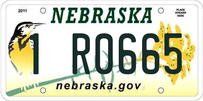 NE license plate 1R0665