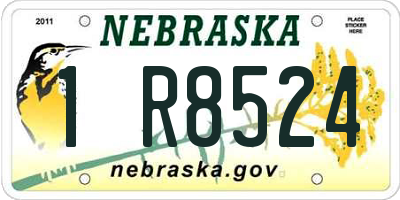 NE license plate 1R8524
