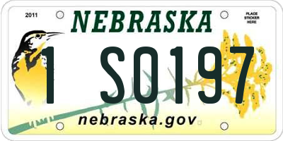 NE license plate 1S0197
