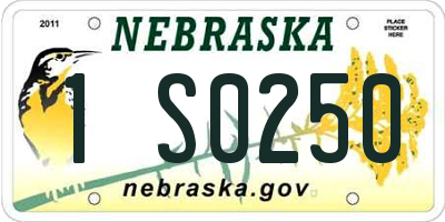 NE license plate 1S0250